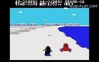 Antarctic Adventure