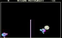 Arcade Volleyball