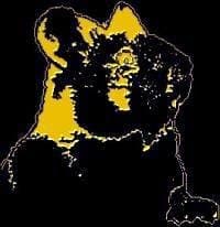 Cornwolf