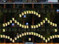 Fat Head