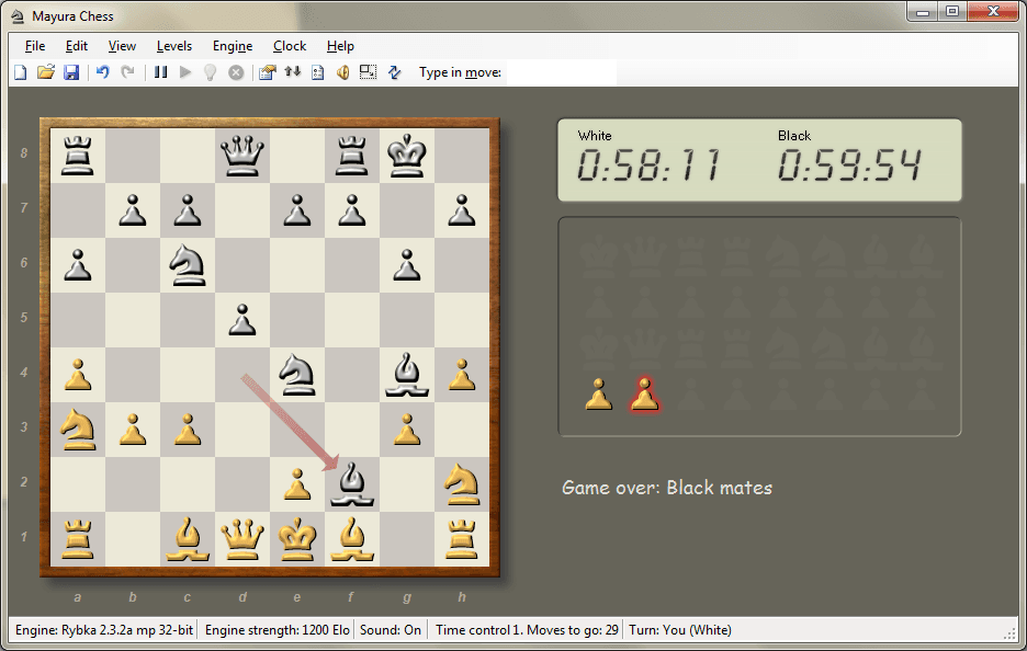 Mayura Chess Board screenshot 2